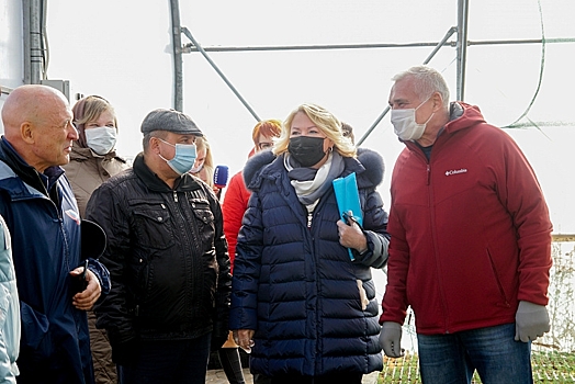 Лесопитомники Волгоградской области увеличивают количество саженцев