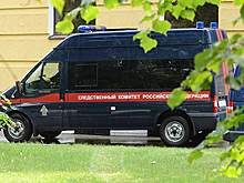 СК начал проверку детских боев в Грозном