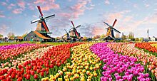 «Голландии больше нет»: Да здравствуют «Нидерланды»