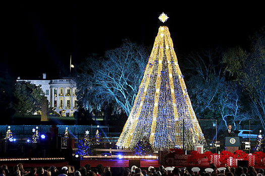 В Белый дом привезли главную рождественскую елку