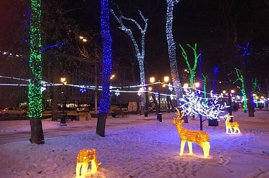 Петрозаводск украсят дизайнерские световые арт-объекты