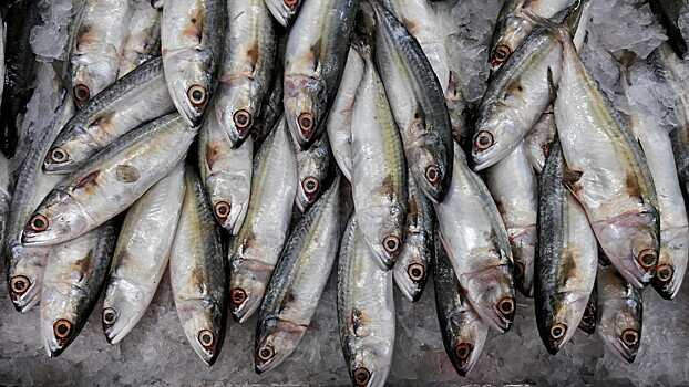 Биржевой норматив принесет рыбной отрасли расходы до 275 млн рублей