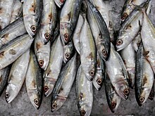 Биржевой норматив принесет рыбной отрасли расходы до 275 млн рублей