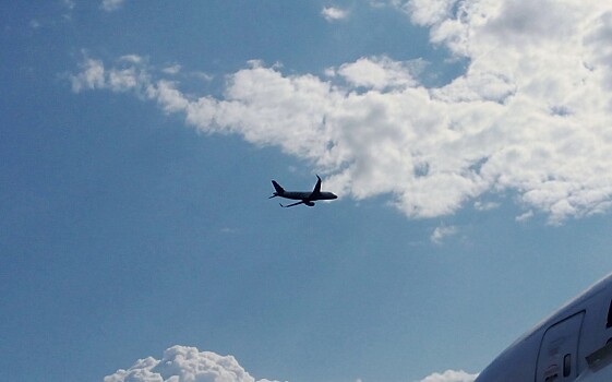 «Аэрофлот» планирует вернуться к расписанию