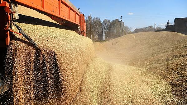 ЕС поможет Украине опустошить хранилища зерна