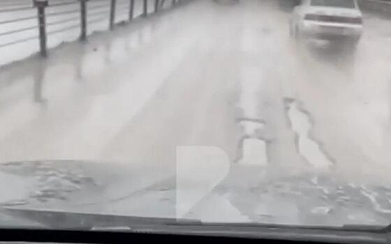 «Дно дна»: рязанец показал разбитую дорогу на Северной окружной