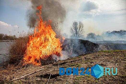 За неделю в Ростовской области зафиксировано 157 случаев возгорания мусора и растительности
