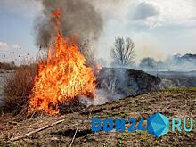 За неделю в Ростовской области зафиксировано 157 случаев возгорания мусора и растительности
