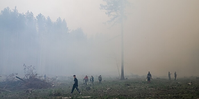 Больше 30 уголовных дел возбудили по фактам природных пожаров в Свердловской области
