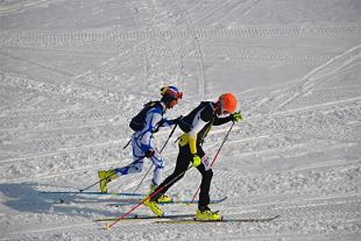На Волге спасли двух лыжников из Москвы