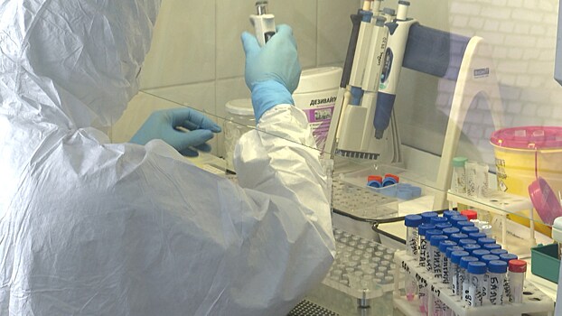 В Калининградской области выявлено 19 случаев COVID-19 за сутки