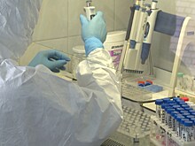 В Калининградской области выявлено 19 случаев COVID-19 за сутки