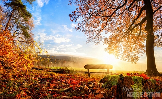 Курянам обещают теплые выходные