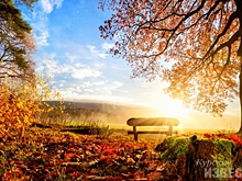 Курянам обещают теплые выходные