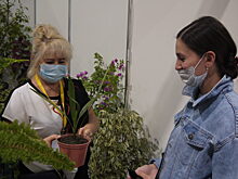 Выселковский район привёз на «Кубанскую ярмарку» цветы, украшения и изделия из шерсти