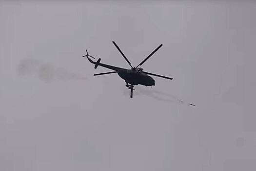 Названо идеальное оружие против нового дрона ВСУ «Рамзай»