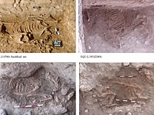 В Израиле обнаружены следы загадочного древнего жертвоприношения