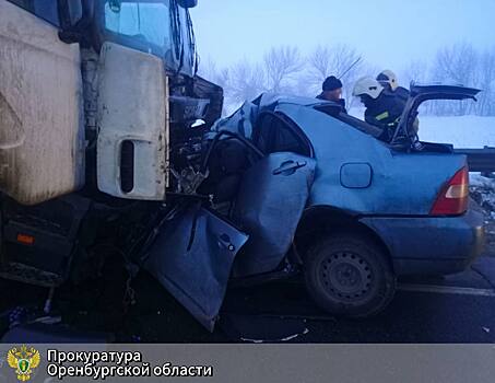 Дальнобойщик получил срок за ДТП в Оренбуржье - погибли пять человек