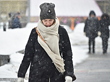 В Москве 23 февраля ожидается до +4 °С