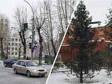 Когда будет город-сад? Об этом мечтают новосибирцы