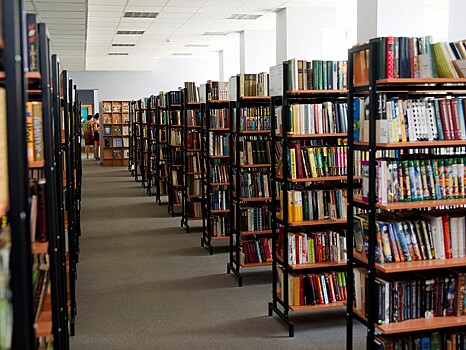Регион рассчитывает получить финансирование на создание модельных библиотек