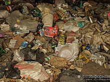 Осуждена экс-директор фирмы, допустившей мусорный коллапс в Свердловской области