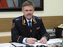 Ограбившие коттедж генерала МВД преступники задержаны