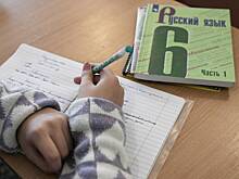 В России захотели выпустить отдельный учебник по русскому языку для детей мигрантов