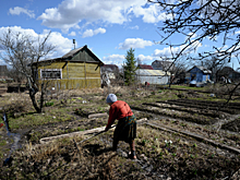 «Садоводы России» предупредили дачников о нашествии рейдеров