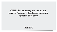 СМИ: Бегавшему по полю на матче Россия – Сербия зрителю грозит 15 суток