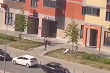 Массовая драка со стрельбой попала на видео в Подмосковье