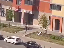 Массовая драка со стрельбой попала на видео в Подмосковье