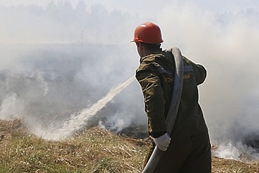 Жителям Подмосковья рассказали, как спастись при пожаре в лесу
