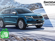 Хорош в любое время года: Škoda Kodiaq с комплектом зимних шин в подарок