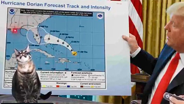 Трамп предложил разместить на лайнерах пострадавших от урагана на Багамах