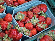 Ягодный фестиваль организуют работники филиала «Хамовники»