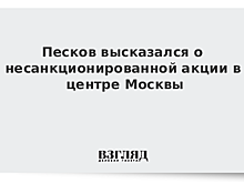 Песков прокомментировал акцию в поддержку Голунова