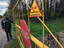 Экологи заявили о вторичном радиоактивном загрязнении в Чернобыле