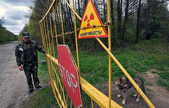 Экологи заявили о вторичном радиоактивном загрязнении в Чернобыле