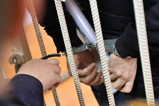 Борца с коррупцией приговорили к строгому режиму за взятку в 250 тысяч рублей