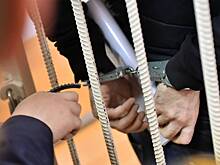 Борца с коррупцией приговорили к строгому режиму за взятку в 250 тысяч рублей