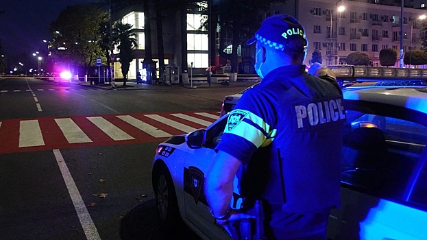 В Грузии задержали экс-министра обороны по делу о штурме дворца президента