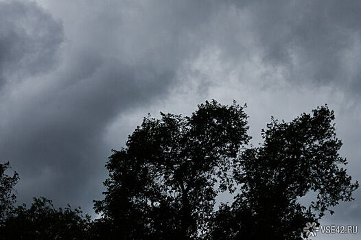 Власти объявили режим повышенной готовности в Кузбассе