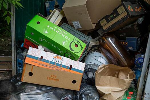 «Отходы уже из баков лезут!» Жители Орска жалуются на переполненные мусорные контейнеры