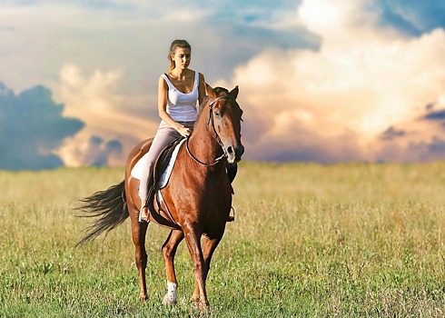 Как верховая езда может навредить здоровью женщины