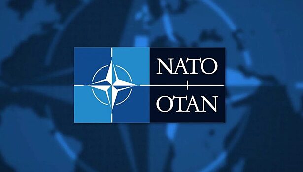 Сопредседатель партии “Левые” в Германии желает распустить НАТО