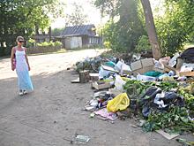В зауральском селе сделали свалку на месте животноводческого комплекса