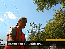 Более 11 тысяч подростков будет трудоустроено в Нижегородской области в 2021 году