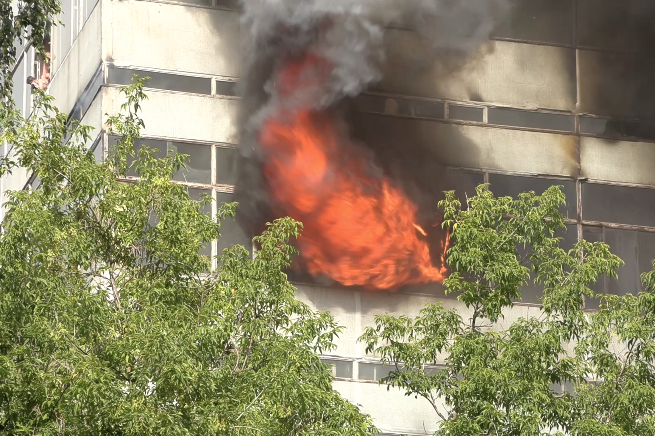 ТАСС: Число погибших при пожаре в подмосковном Фрязине достигло восьми