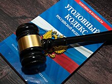 Российский подросток стал серийным поджигателем ради спасения сестры и матери